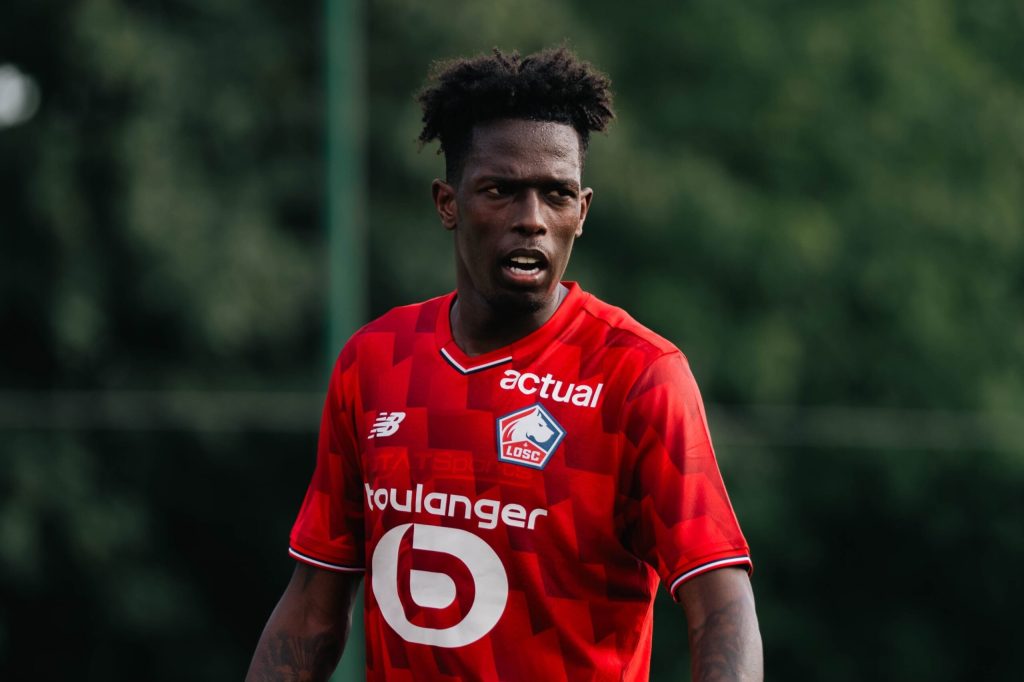 LOSC : les raisons du très bon début de saison des&nbsp;Dogues